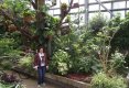 Bucătăraş hai –hui – Grădina Botanică „Vasile Fati” Jibou-32
