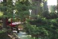 Bucătăraş hai –hui – Grădina Botanică „Vasile Fati” Jibou-39