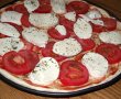 Pizza Margherita-5