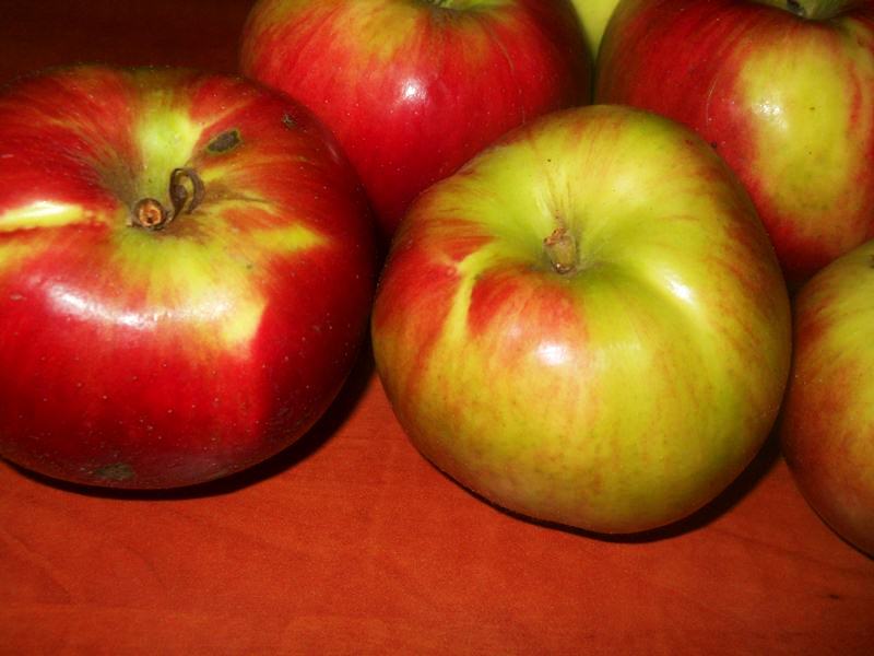 Strudel din aluat dospit cu mere