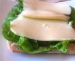 Sandwich-ul meu gustos-14