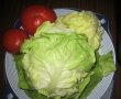 Salata colorata-0