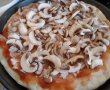 Pizza cu piept de pui-2