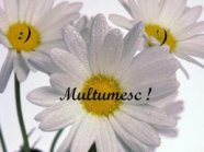 8 Luni de Bucataras