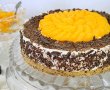 Cheesecake cu mandarine si ciocolata-9