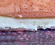 Prajitura cu mascarpone si fructe-4