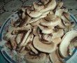 Ciorba de ciuperci brune-0