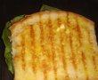 Sandwich cald cu cascaval a la Nigella-7