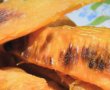 Cartofi dulci cu rozmarin si nucsoara-1