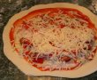 Pizza Calzone-11