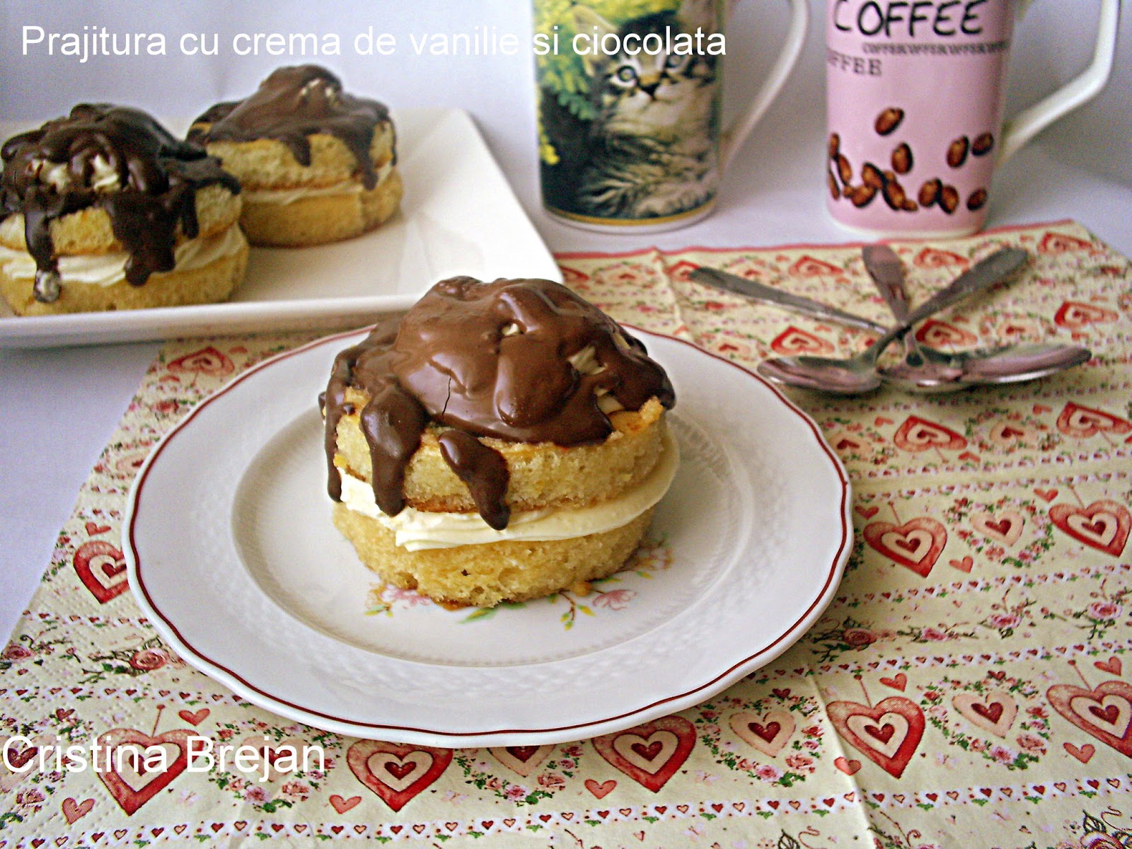 Prajitura cu crema de vanilie si ciocolata (Reteta 300)