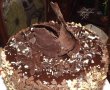 Tort cu crema de ciocolata si capsuni-1