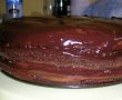 Tort "RAPID" cu ciocolata si ananas-0