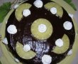 Tort "RAPID" cu ciocolata si ananas-3