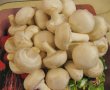 Ciupercute umplute cu sunca si pasta de branza-0