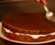 Tort cu mousse de ciocolata alba si afine-2