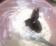 Tort cu blat pufos si crema de cacao-5