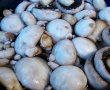 Tocanita de ciuperci cu piept de pui si leurda-1