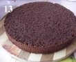 Blat de tort cu cacao-13