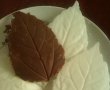 Frunze de ciocolata pt decor-1