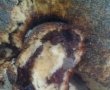 Cozonac la Dry coker-2