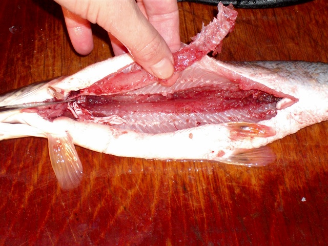 Stiuca in scutec de bacon