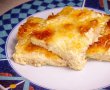 Placinta Puturoasei-10