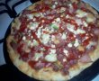 Pizza de casa-7