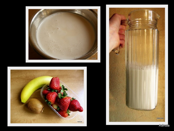 Ce putem face din nuci/seminte? Lapte simplu sau cremos cu fructe