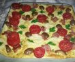 Frittata pizzaiola la cuptor-6