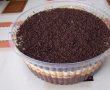 Tort de inghetata cu cacao, rom si stafide-6
