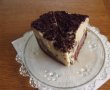 Tort de inghetata cu cacao, rom si stafide-9