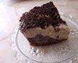 Tort de inghetata cu cacao, rom si stafide-10