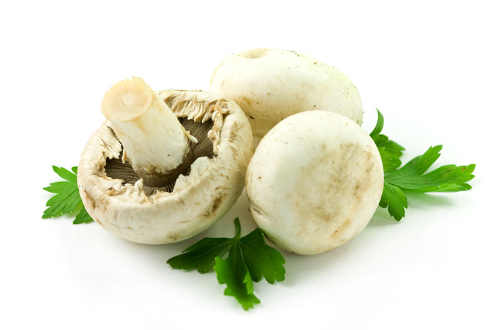 Ciupercile - pastile pentru sănătate