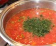 Supă de roșii preparată la Zepter-2