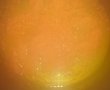 Ciorba acra de pui cu smantana si usturoi-2