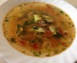 Supa din pulpe de pui cu zucchini si paste-5
