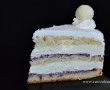 Tort Raffaello cu zmeura-2