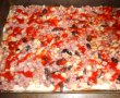 Pizza cu ceapa rosie si salam de porc-7