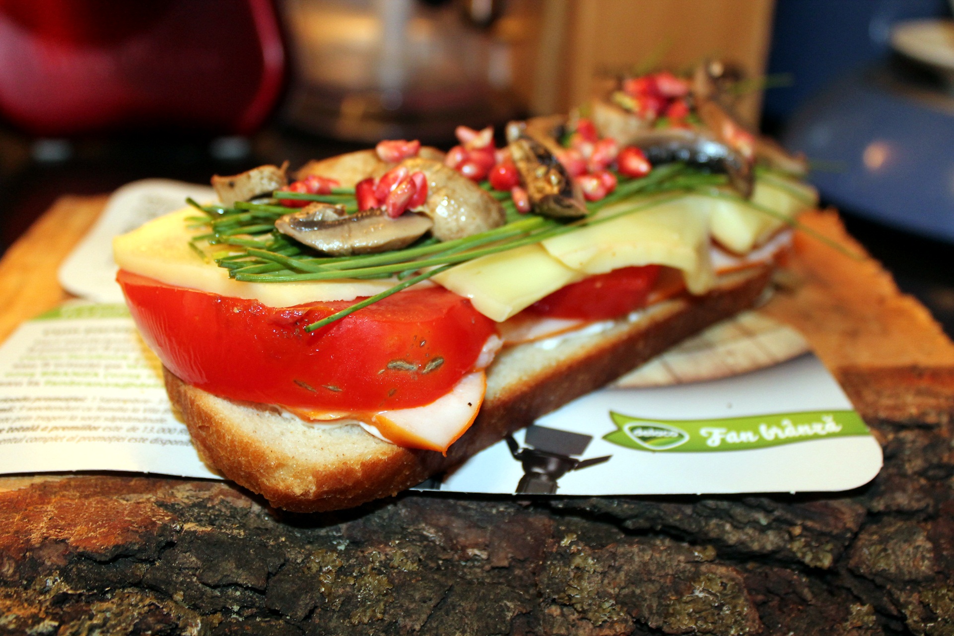 Sandwich Panacris
