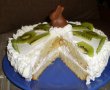 Tort cu mascarpone si kiwi-13