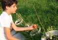 5 lucruri pe care le-a invatat fiul meu cultivand cateva rosii ....-0