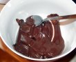 Fursecuri fragede cu ciocolata si aroma de menta-1