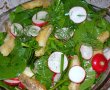 Salata de primavara cu salau-6