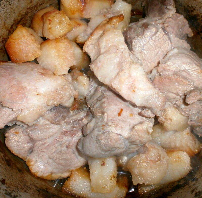 Carne de porc prajita la tuci