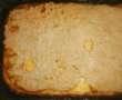 Placinta cu branza proaspata de vaci degresata-8