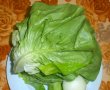 Salata verde cu ceapa si castravete-0