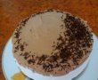 Mousse de iaurt si ciocolata-7