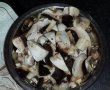 Ostropel de pui cu ciuperci-1