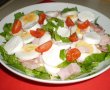 Salata Roxi-5